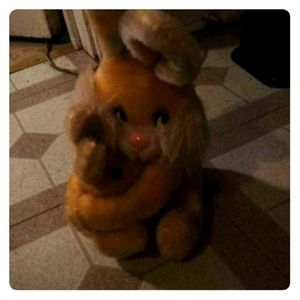 Bunny stuffie